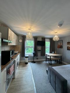 Cosy 2 BEDROOMS Apartment - Londra - 6