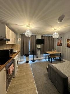 Cosy 2 BEDROOMS Apartment - Londra - 3