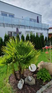 Ferienwohnungen "Godewind", Appartements mit Balkon oder Terrasse - Zinnowitz - 0