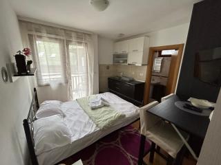 Studio apartman Tomić - Zlatibor - 0