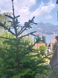 Apartmani Njivice - Igalo - 7