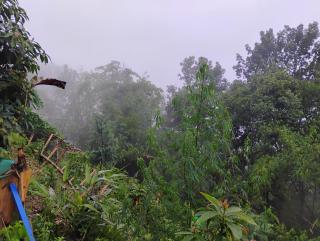 Melsang Homestay - 6