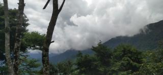 Melsang Homestay - Kalimpong - 5
