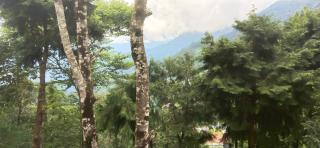 Melsang Homestay - Kalimpong - 4