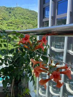 Thuy Tien Seaview Apartment -1602 - Vung Tau - 6