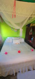 Jima's Home Retreat - - 0
