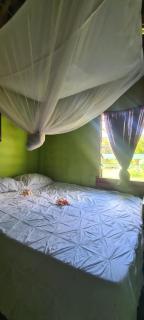 Jima's Home Retreat - - 6