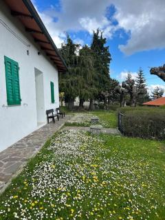 Villino Cecchini - Prunetta - 3