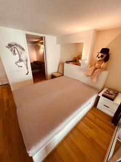 Privet room in shared Apartment, Central Oslo - Oslo - 9