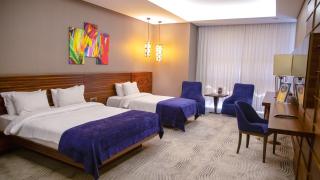 Gold Majesty Hotel - Bursa - 1