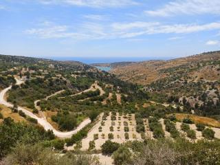 Glamping in the middle of nowhere - Paphos - 8