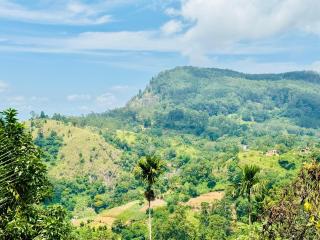 Rock View Cottage - 5