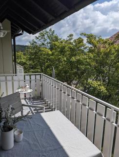 Ferienwohnung am See im Fichtelgebirge - Nagel - 8