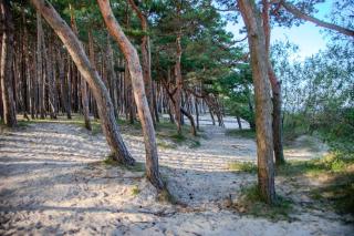 Beachside Loft at Valley of the Dunes - Palanga - 1