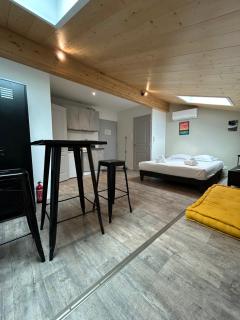 Beau Studio lumineux avec Climatisation pour 2 Personnes - Bordeaux - 3
