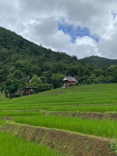 บ้านพักชิปู ป่าบงเปียง - 9