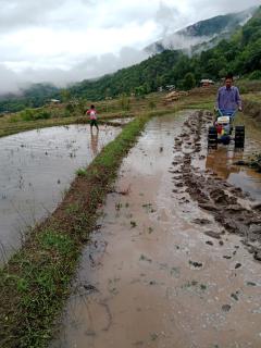 บ้านพักชิปู ป่าบงเปียง - Ban Mae Pan Noi - 4