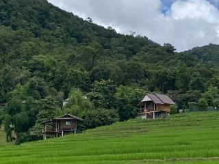 บ้านพักชิปู ป่าบงเปียง - Ban Mae Pan Noi - 2