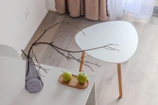 Charming loft in pinewood forest 150m to sea - Palanga - 6