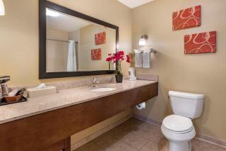 Comfort Suites Urbana Champaign, University Area - Champaign - 2