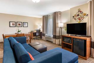 Comfort Suites Urbana Champaign, University Area - Champaign - 3