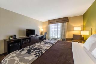 Sleep Inn & Suites - Pleasanton - 5