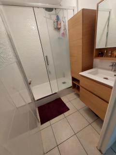Chambre dans un charmant T3 - Vaulx-en-Velin - 1