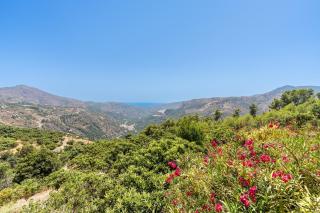 Cortijo La Alberquilla - 7