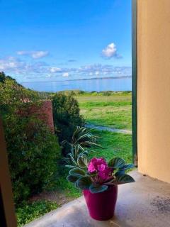 Wohnung In Calasetta Mit Grill Und Garten - 2