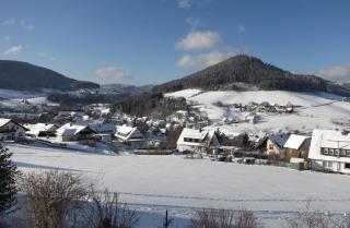 FeWo Aida Panoramablick Terrasse Garten große Betten - Baiersbronn - 3