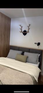 Apartman Bela Reka Ana C011, Kopaonik, Brzeće - Brzeće - 1