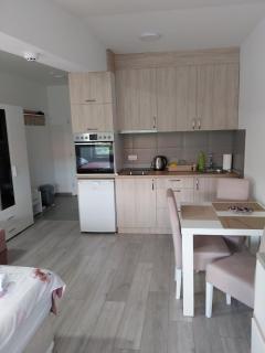 Apartman UNA - Banja Koviljača - 4