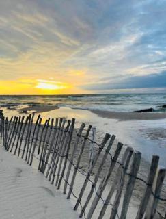 Schwalbennest - Zingst - 6