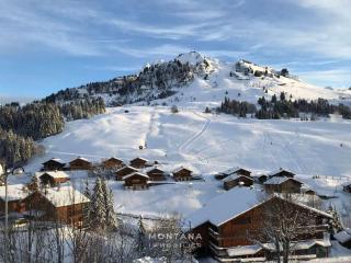 Studio Confortable avec Coin Montagne et Garage - 4 Pers - Le Grand-Bornand - FR-1-458-190 - Le Grand-Bornand - 2