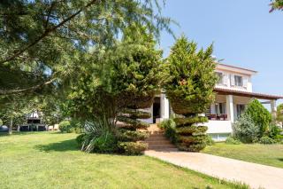 Beautiful Summer Villa in Chalkoutsi - 6