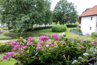 Hotel Sonnenhof - Bad Birnbach - 2