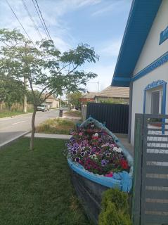 Studio Casa Katiușa - Jurilovca - 0