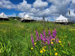 Nucsoara Glamping Cozy - 3