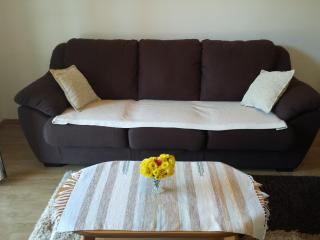 Apartments Lazarević - 8