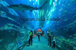 Appartement avec jardin 7 couchages - Wifi- Parking - La Rochelle - 9