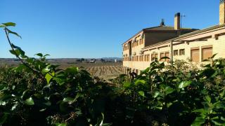 Hotel-Motel Sol II - Requena - 6