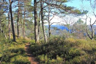Velkommen Til Vakre Kvinesdal - 2