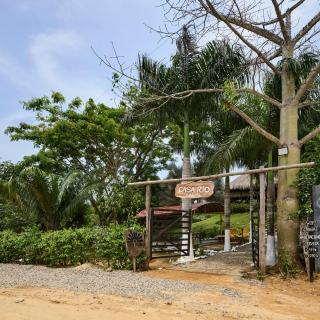 Bungalows Casa Rio Palomino - Palomino - 7