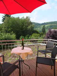 Bioweingut Brohl - Pünderich - 6