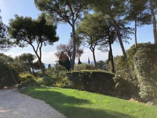La Californienne - Carqueiranne - 5