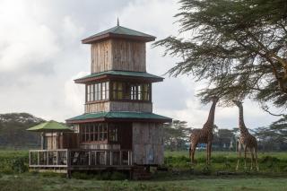 The Watch Tower 360' Bed View Shower Understars - Naivasha - 9