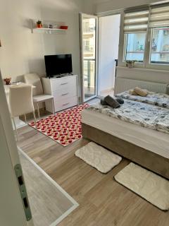 Apartman Nana - Banja Koviljača - 9