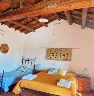 Domus de Jara - Casa Montis - Baradili - 8