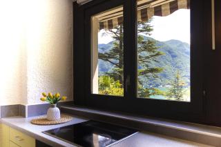 La Castignola con vista lago di Lugano e giardino condiviso - 4