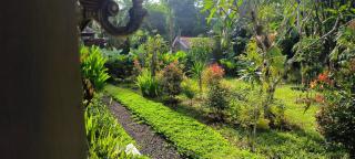 Tanggu ubud homestay - Ubud - 3